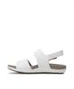Rockport Ridge II Quarter Multi (Cj1371)