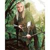 Malowanie Po Numerach Obrazy Do Malowania-Legolas Władca Pierścieni 40X50Cm