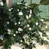 DIY Artificial Rose Flower 52cm Flower Arrangement Fake Flowers Rose Vine  Wedding
