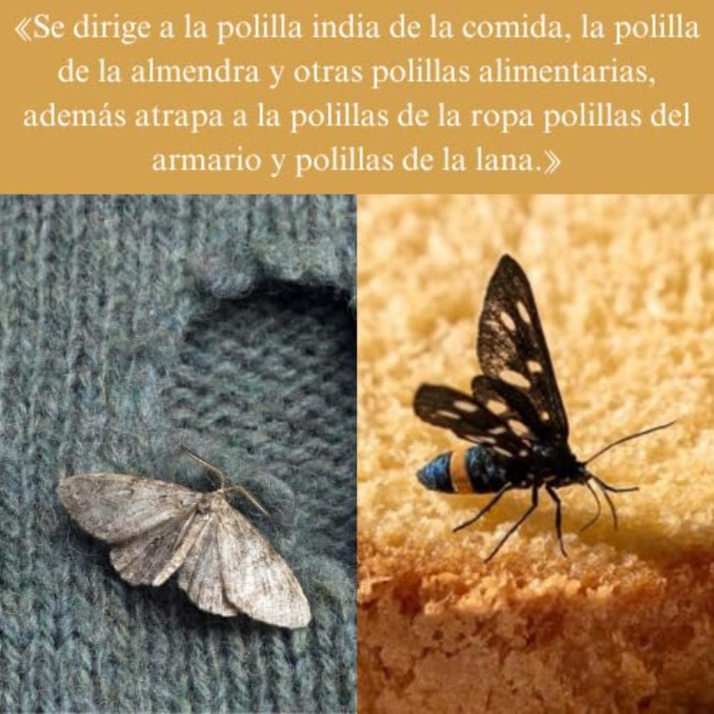 Дом для ловли моли Ловушка для моли Ловушка для моли Дом для ловли моли Дом для моли