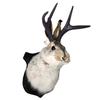 Таксидермия, Декор стены в виде головы, Настенное крепление в виде головы оленя, Настенное крепление в виде головы оленя, для украшения стен дома. Кролик Орнаменты Настенные украшения