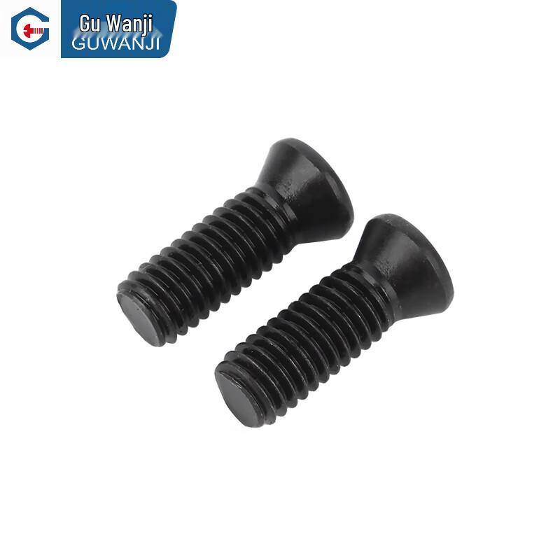 Guwanji GWJ-202 12.9 Grade Torx Countersunk CNC Screws