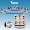 Водонепроницаемый кабельный ввод IP68, латунный, никелированный, металлическая головка, тип NPT/G, уплотнительная стопорная гайка NPT 3/4