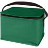 Spectrum 4L Non-Woven Cooler Bag