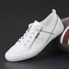 New Spring Men's Shoes Trendy Shoes Canvas Shoes Korean Style Versatile Trendy Casual Shoes Breathable Board Shoes