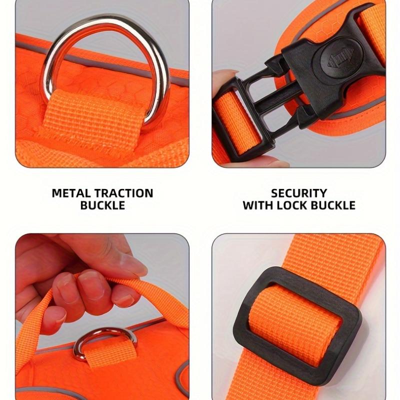 Регулируемая и взрывобезопасная шлейка и поводок для собак для безопасного и веселого отдыха на свежем воздухе с вашим питомцем #King's day