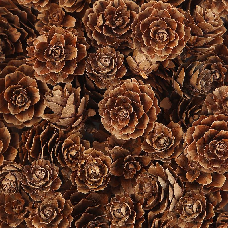 Pine Cone DIY Decoration Kit: Branch, Log, Dried Flowers for Creative Kindergarten Hanging Crafts