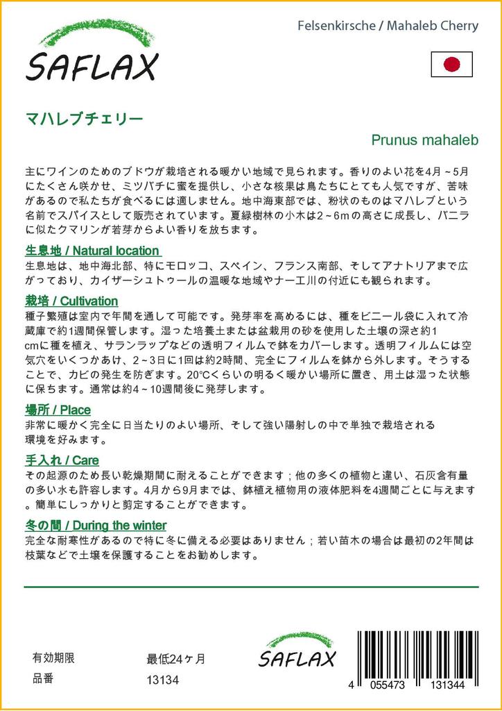 SAFLAX Махалеб Вишня - 30 семян - Prunus mahaleb