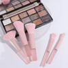 10Pcs/Set Candy Color Mini Size Makeup Brush Set Translucent Jelly Pink Cosmetic Brush  Make Up Tool