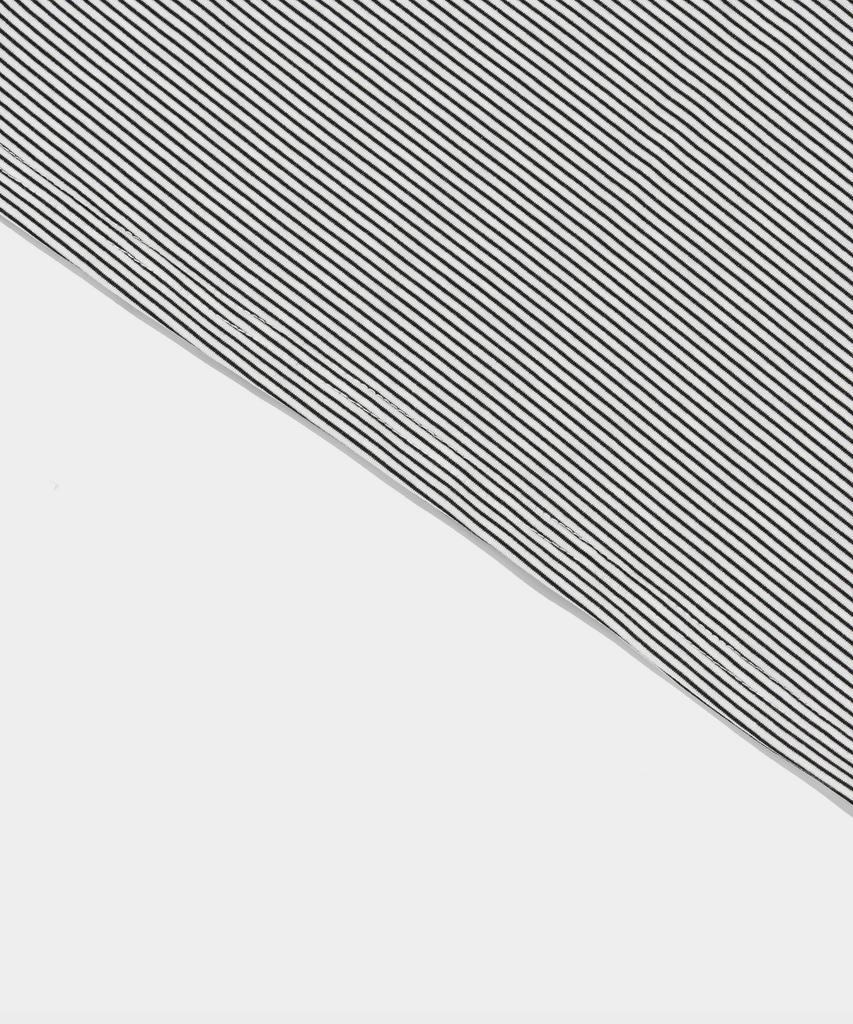 ROIDESROIS Striped Slim Long Sleeve T-Shirt (White)
