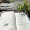 """Невидимый спутник""" Чжан Канканга""": Сборник современных китайских романов