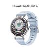 Huawei Умные часы WATCH GT 6 (Китайская версия)