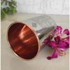 Steel and Copper Glass Tumbler, Drinkware, 250 ML Each, Set of 4