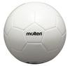 Molten Autographed Ball F5W500