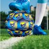 Reading FC Fashion Size 5 Football Wearproof Non‑Slip Soccer Ball For Sports Training Entertainment Use