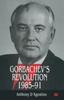 Книга Gorbachev's Revolution, 1985-1991