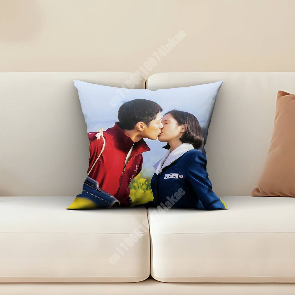 When Life Gives You Tangerines Pillow Cover Sofa Couch Cushion Case Home Living Room Decoration