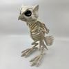 Halloween Animal Skeletons Dog Bat Frog Scorpion Spider Snake Rat Bone Skeletons for Halloween Party Haunted House Graveyard Scene Decoration