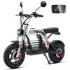 iScooter Электросамокат DX5 Pro с отсеком для хранения, аккумулятор 52 В 20 Ач, 17-дюймовые внедорожные шины
