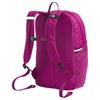 The North Face Jester 24.6L Logo Zipper Outdoor Backpack Recycled Polyester Deep Mulberry And Dragon Fruit Kids backpack NF0A52VY0OX