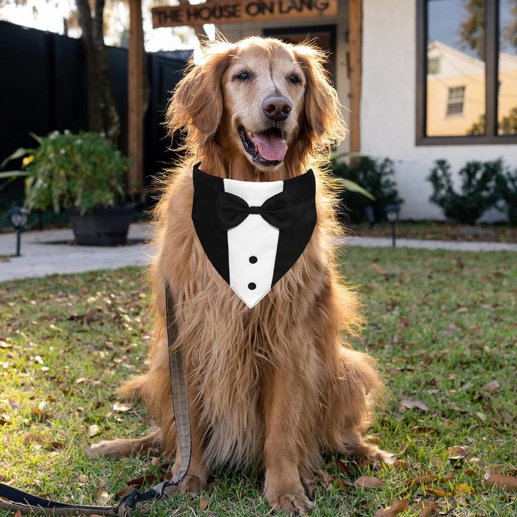 Dog tuxedo, dog suit, dog wedding bandana, necktie, adjustable tuxedo