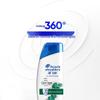 Head & Shoulders Itch Care Anti-Dandruff Shampoo