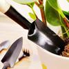 Wooden Handle Digging Weeding Multifunctional Bonsai Tools Shovel Garden Shovel Small Rake Spade