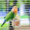 Bird Transparent Feeder Feeding Basin With Antiskid Stand Bowls Acrylic Bird Cage Feeder Fixed Food Bowl Parakeets Feeders