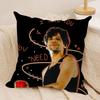 Louis Singer Tomlinsons Cushion Cover Silky Short Plush DoubleSided Printed Pillow Case for Sofa All Seasons Home Decor Gift