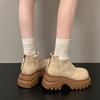 Ботинки Мартина на толстом каблуке и толстой подошве в стиле ретро для фанаток Queen, женские, новые, осень 2025, универсальные зимние короткие ботинки