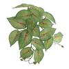 Monstera Wall Hanging - Green Plant Decor for Landscaping and Scene Setting