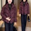 Winter Down Cotton Jacket Thick Warm Parkas Women Puffer Coat Loose Casual Overcoat Cotton-padded Jacket Women Outerwear