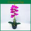 Artificial Phalaenopsis Aphrodite Rchb Potted Plant  For Gift And Interior Decor