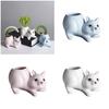 Ceramic Fleshy Plant Pot Squirrel Planter Plant Flowerpot Ornament for Fleshy Plant Cactuses Container for Home Balcony