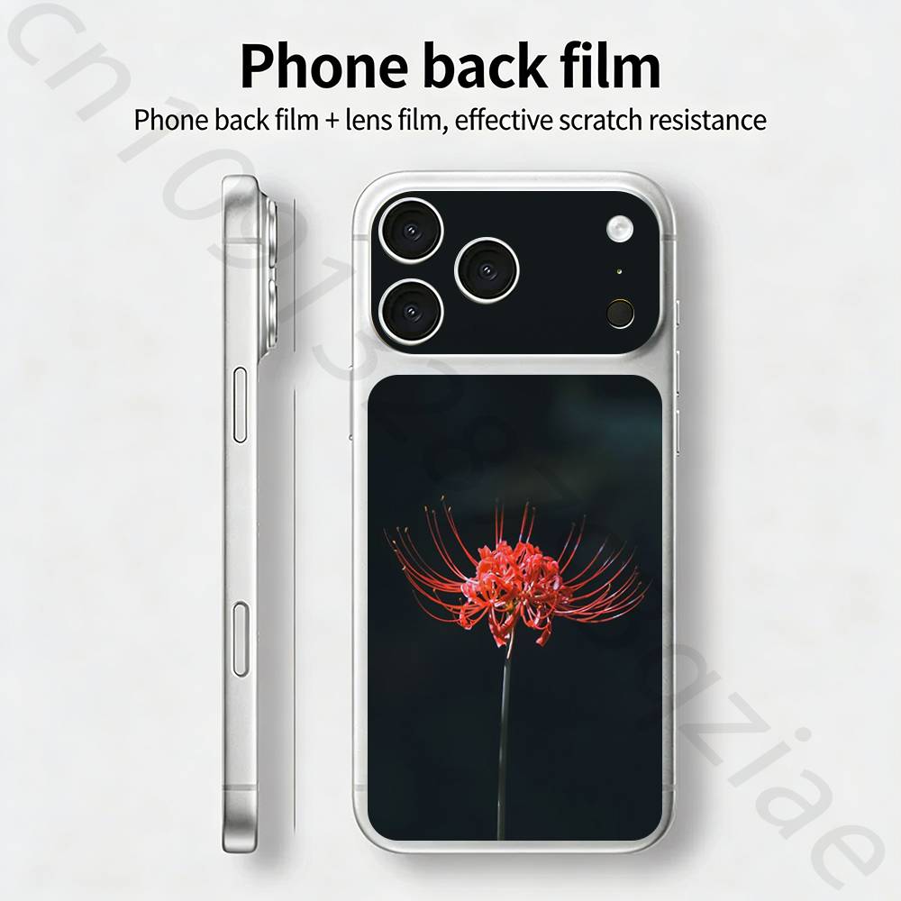 Радужное Иллюстративное Искусство БИЛЕТ Наклейка Обложка для iPhone 17 Pro/Pro max Защитная Пленка для Задней Панели, Рамки, Камеры