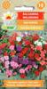 Balsamin Valerian Impatiens Seeds 0.1g Flowers for the Garden
