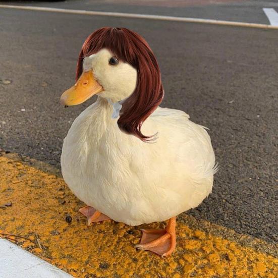 2 шт. костюм гуся для крыльца, парик с косами, пасхальная уличная статуя гуся, поддельные волосы, костюм гуся для сада, аксессуар для украшения лужайки на патио