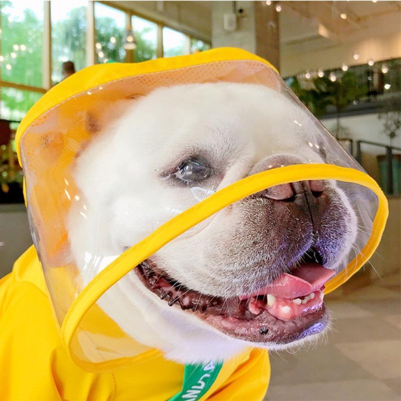 Водонепроницаемый дождевик для домашней собаки, Одежда динозавра, Четырехугольный пончо, Jarre Aero Bull, Мопс Корги и Сиба-ину