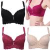Lady Lace Bra Lingerie Underwear Push-Up Padded Underwire Sexy Brassiere