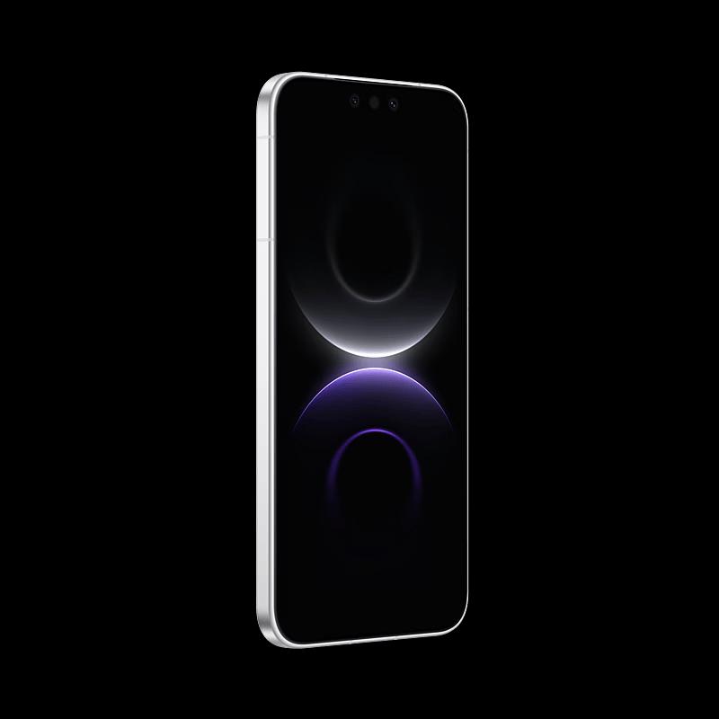 Huawei Mate 80 (Китайская версия)