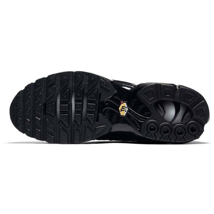 Nike Мужские кроссовки Air Max Plus Triple Black Черно-Черные 604133-050
