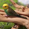 Miniatures Bird Figurines Educational Parrot Ornament Animal Sculpture Budgerigar Toy  Tabletop