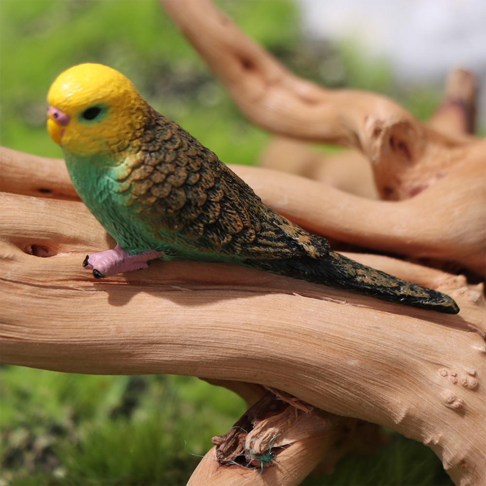 Miniatures Bird Figurines Educational Parrot Ornament Animal Sculpture Budgerigar Toy Tabletop
