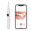 Visual Ultrasonic Dental Scaler with Camera 3 Modes Magnetic Levitation Cleaning Calculus Removal Oral Care Tool Teeth Whitening