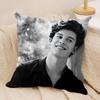 Singer SShawn Mendes Cushion Cover Silky Short Plush DoubleSided Printed Pillow Case for Sofa All Seasons Home Decor Gift