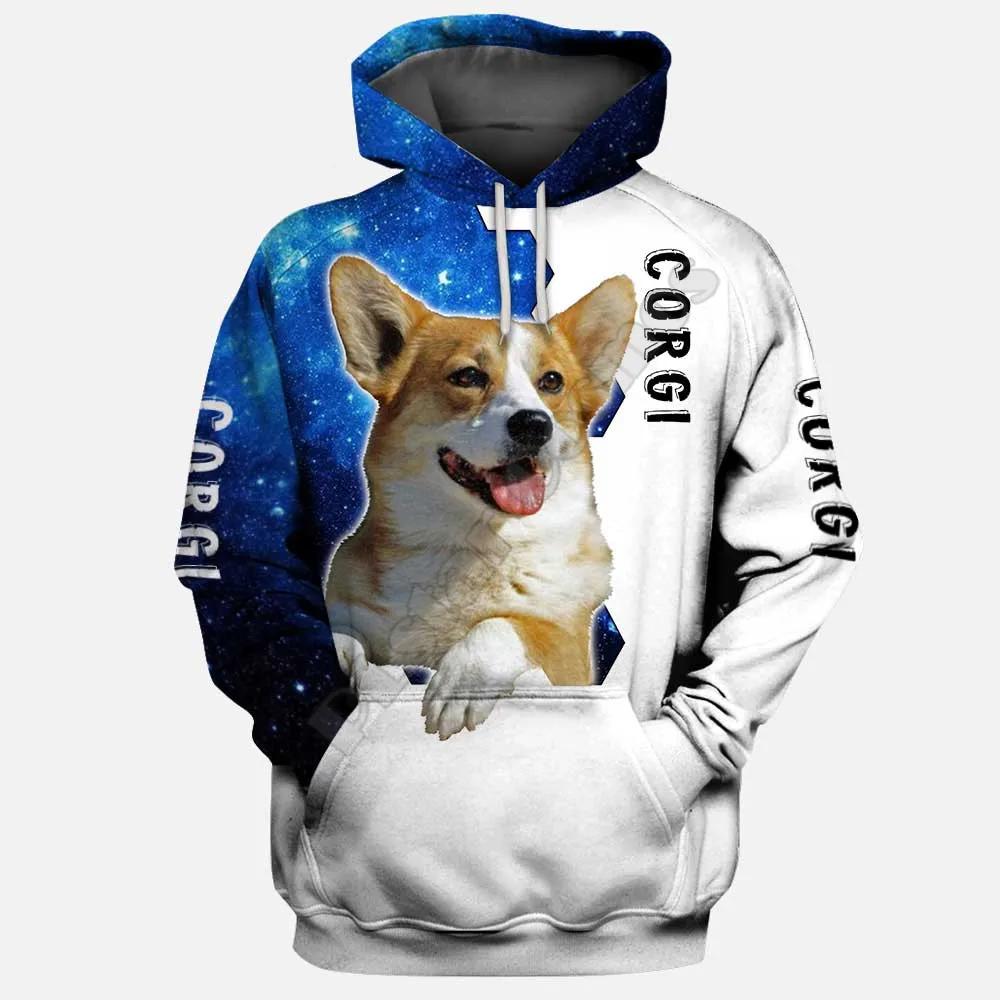 Saint Bernard 3D Printed Hoodies Funny Pullover Men For Women Funny Sweatshirts Animal Sweater Drop Shipping