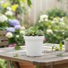 Small Plastic Flower Pot Thickened Desktop With Drainage Holes For Succulents Small Plants Home Gardening Supplies 1m