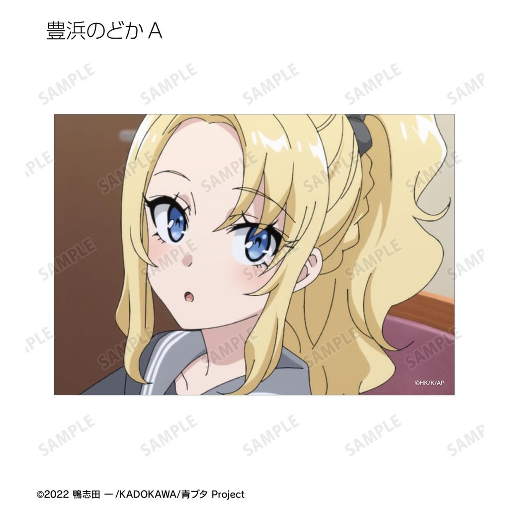 Негодник не мечтает о девушке, которая видит сны, Коллекционный набор бромидов со сценами, 12 штук