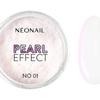 Пудра для ногтей 01 Pearl Effect 2 г