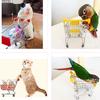 Parrot Supermarket Shopping Cart Kids Intelligence Growth Funny Toy Storage